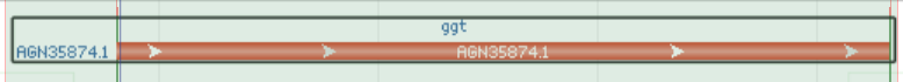 Figure 2-Fig 2: ggt gene from NCBI [5]