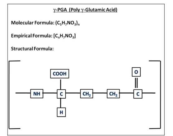 Fig. 1: Structure of Poly-gamma-Glutamic Acid [1]